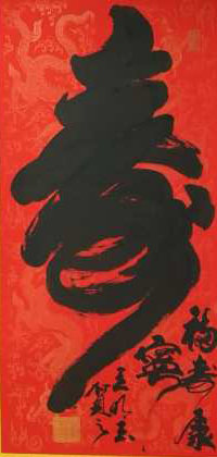 王冰玉