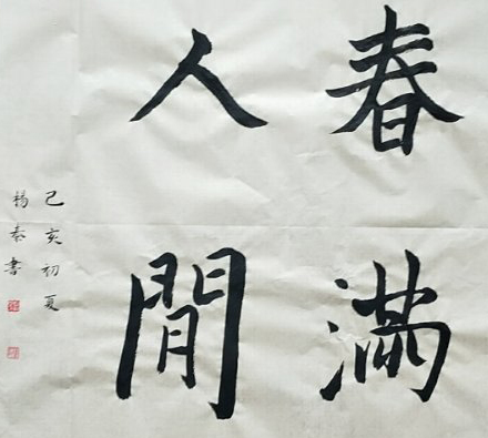 杨秦
