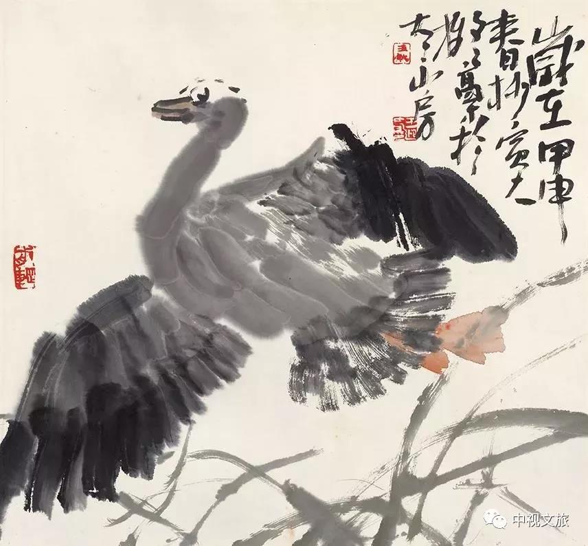 王迎春