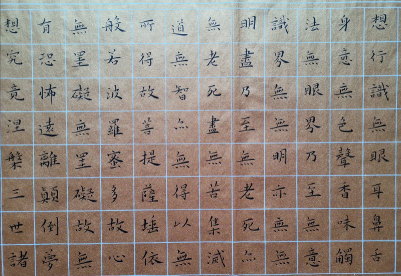 杨秦