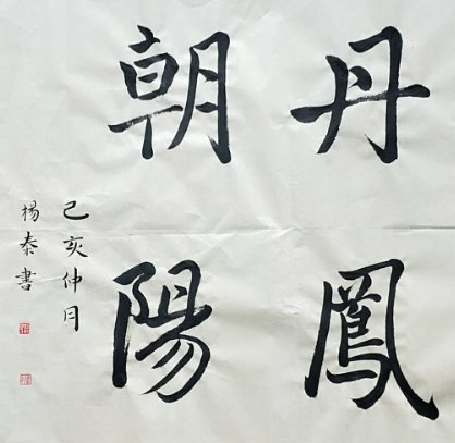 杨秦