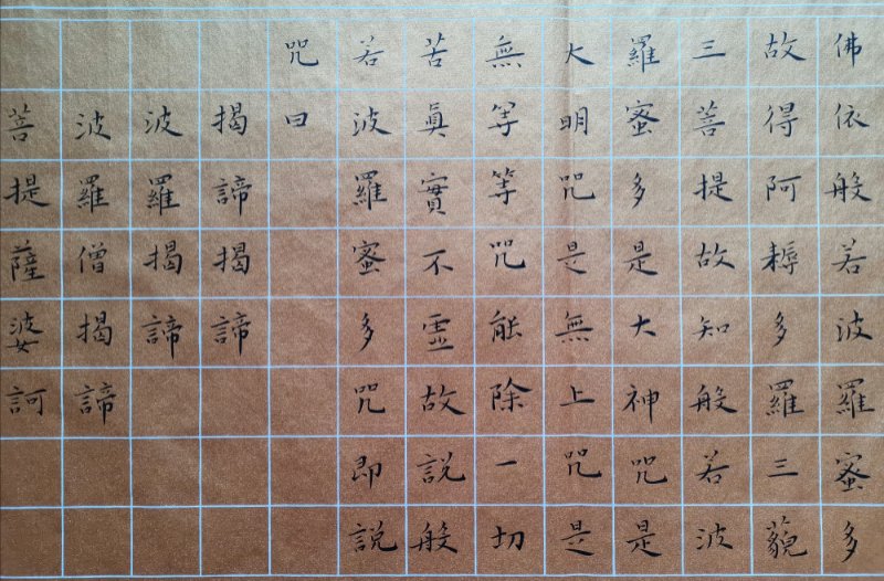 杨秦