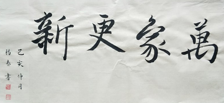 杨秦