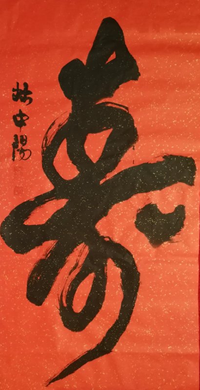 林中阳