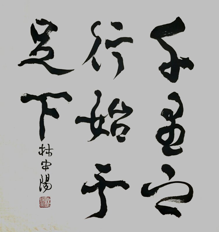 林中阳