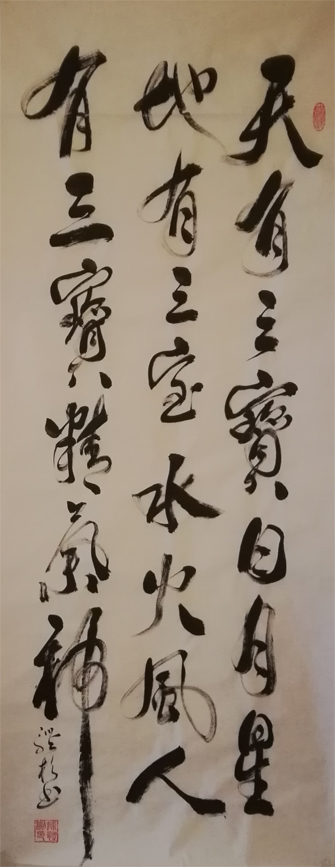 陈体杉