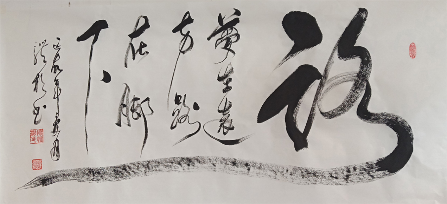 陈体杉