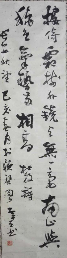 赵新亚