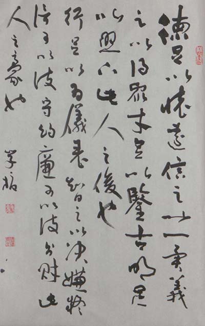 毛学校