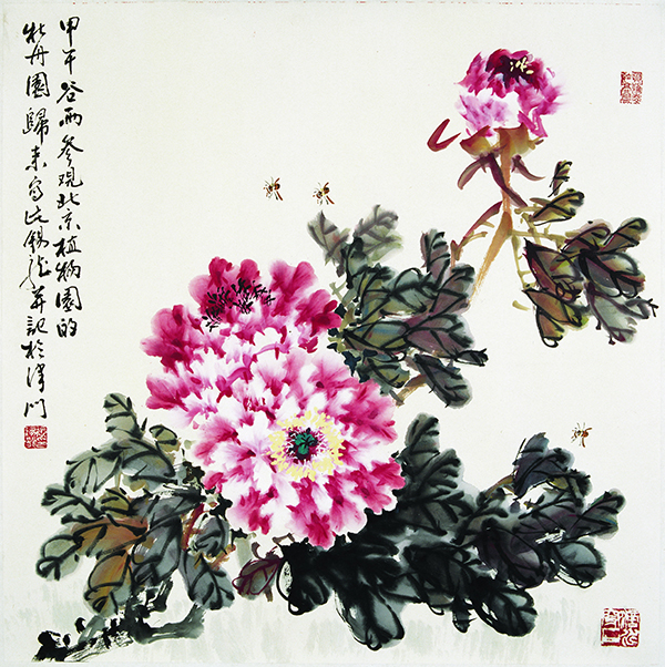 张锡龙