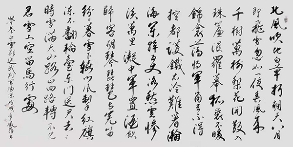 杨凤存