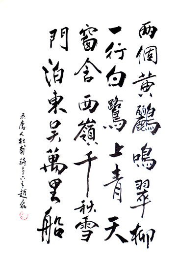 赵磊
