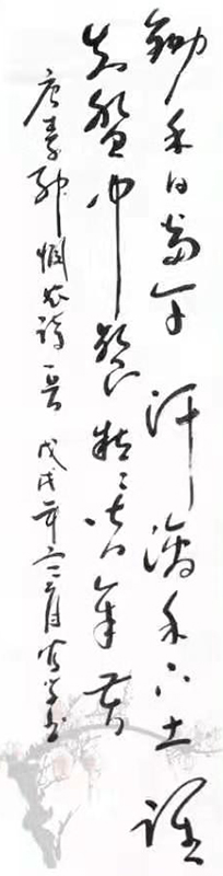 白凤学