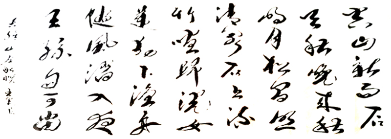 王建录