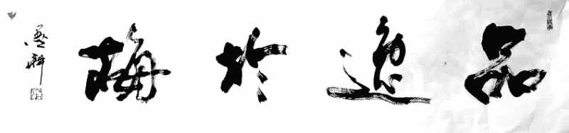 雷显平