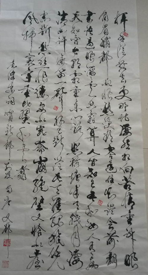 张有敬