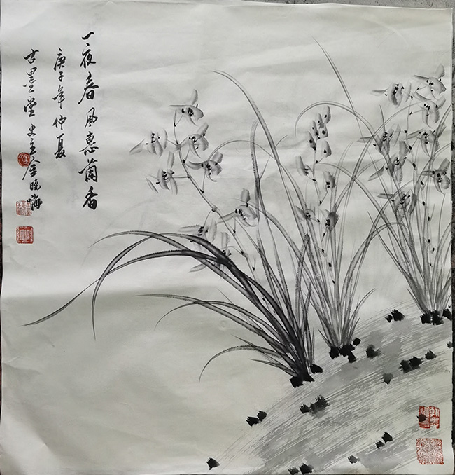 金晓海