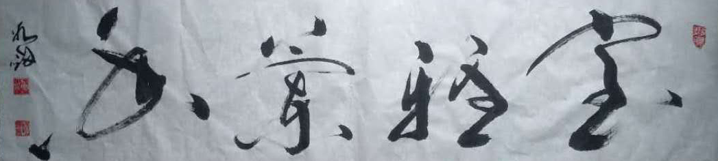 苏冰剑
