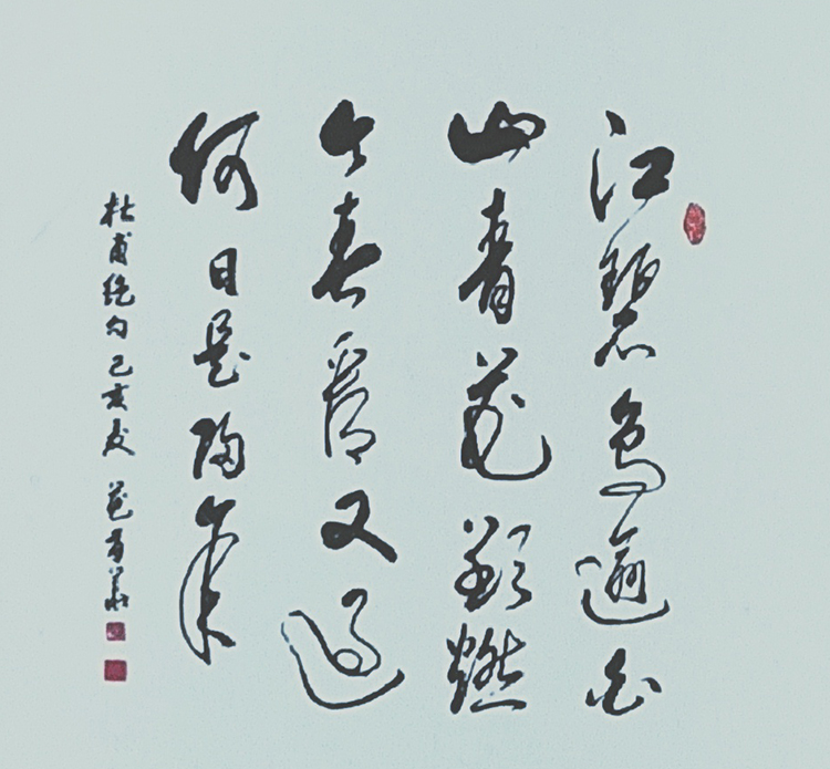 花有华