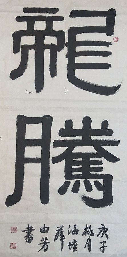 薛由芳