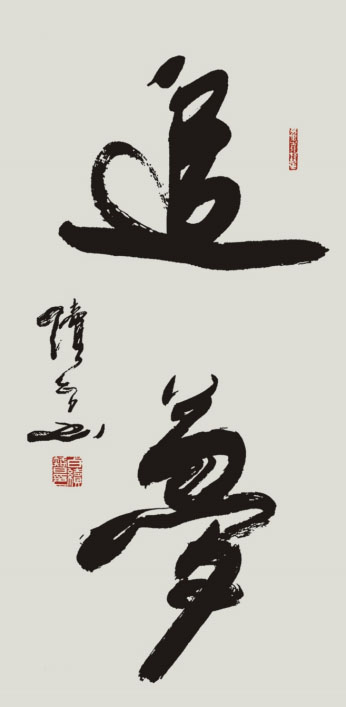 白续智
