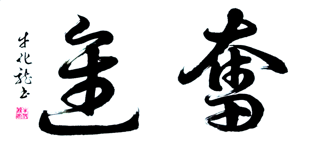 牛化龙