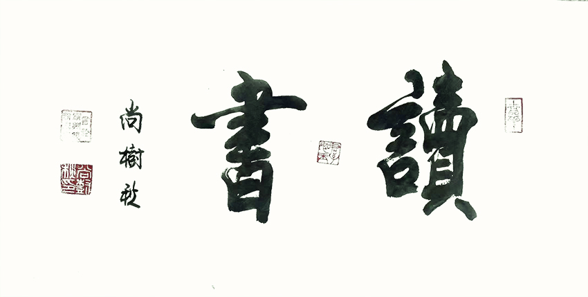 尚树秋