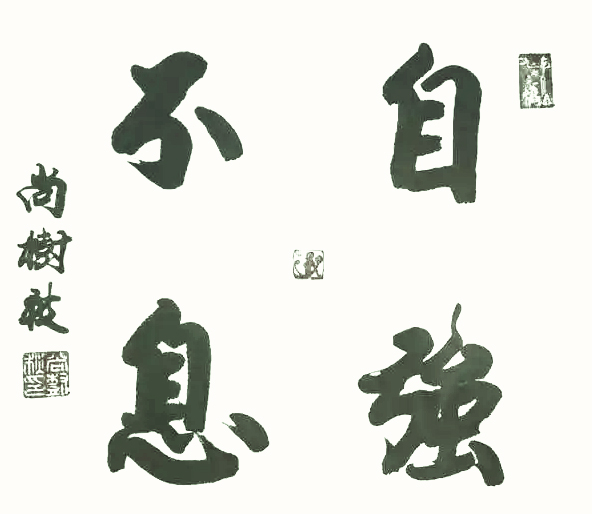 尚树秋