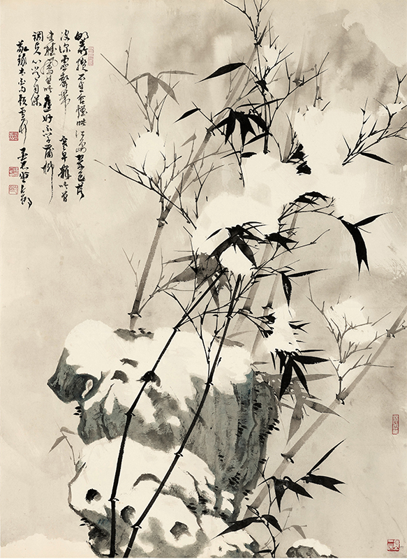 杨志立