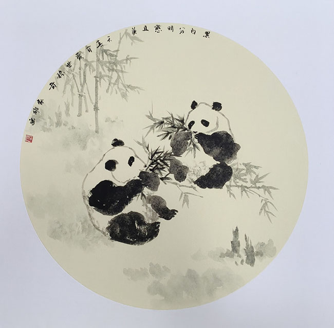 黄家雄