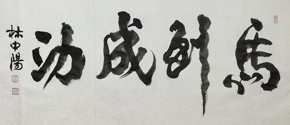 林中阳