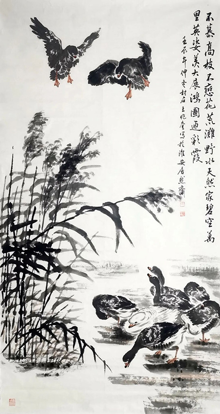 王兆奎