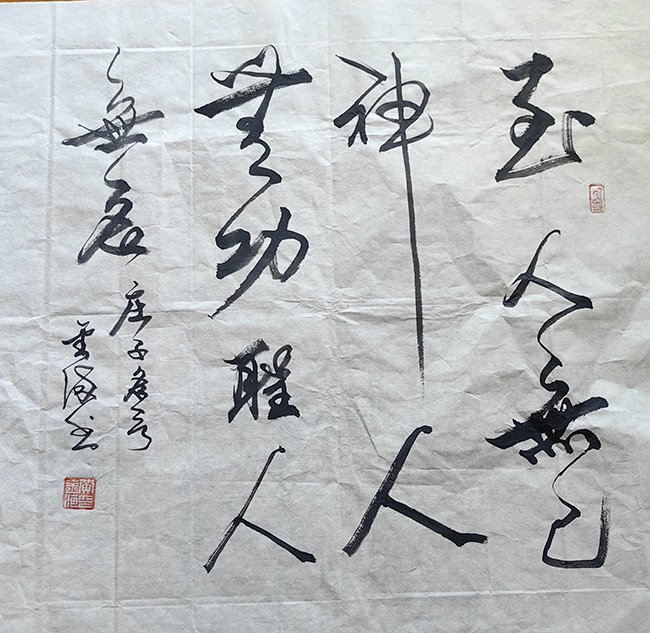 黄金海