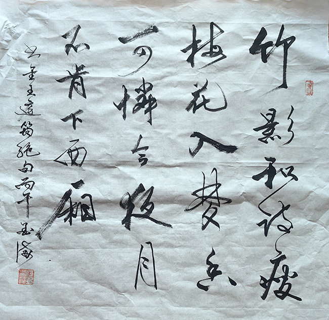 黄金海