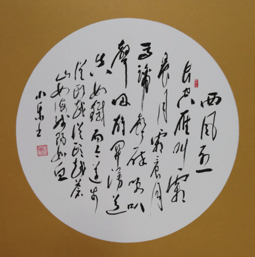 白小乐