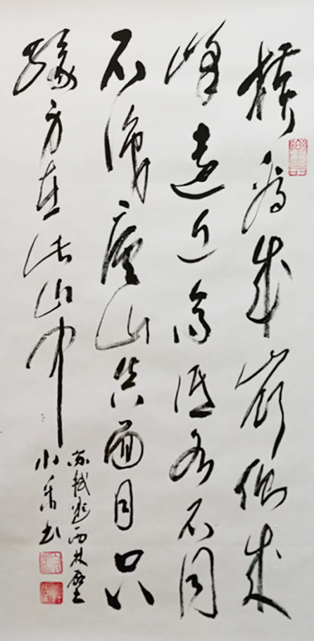白小乐