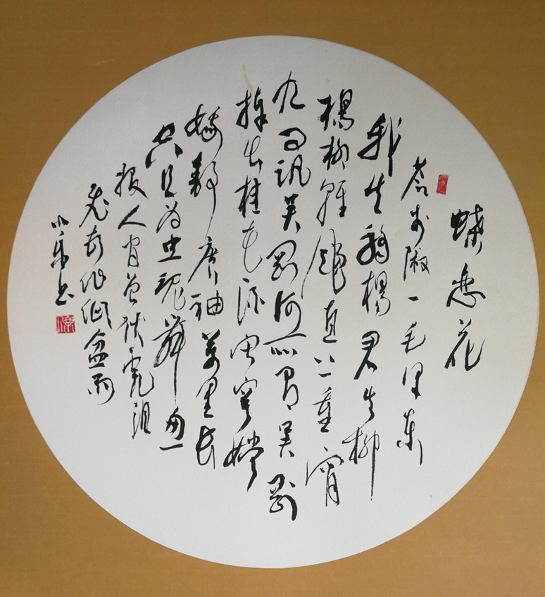 白小乐