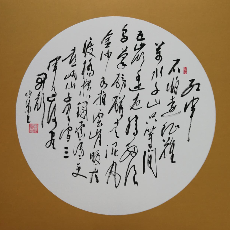 白小乐