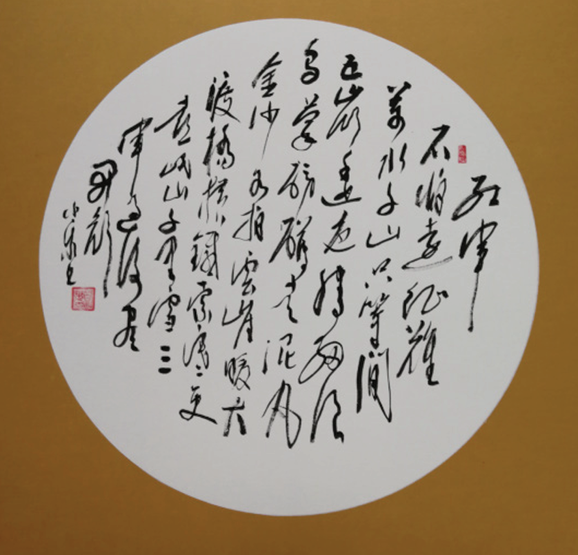 白小乐