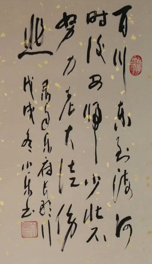 白小乐